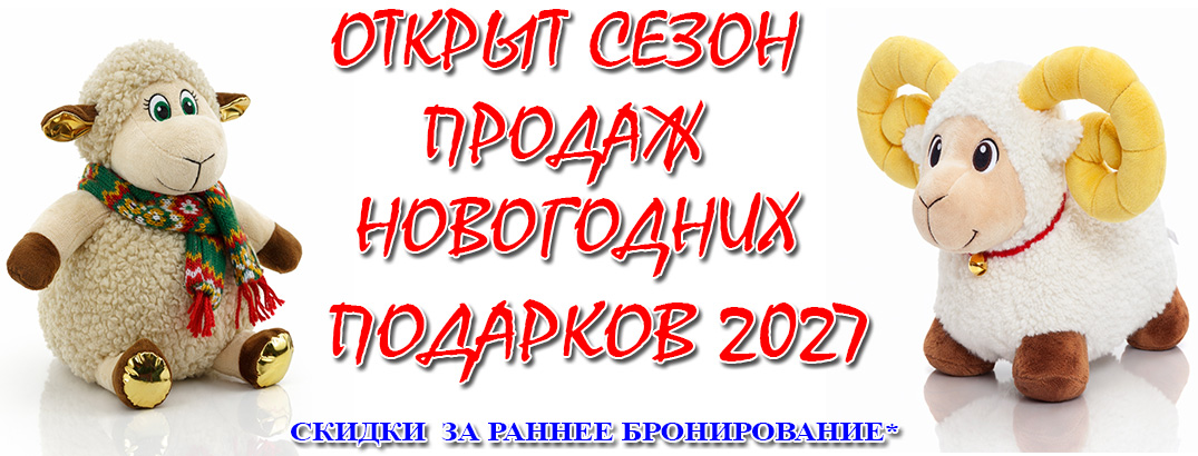 2027koza-new